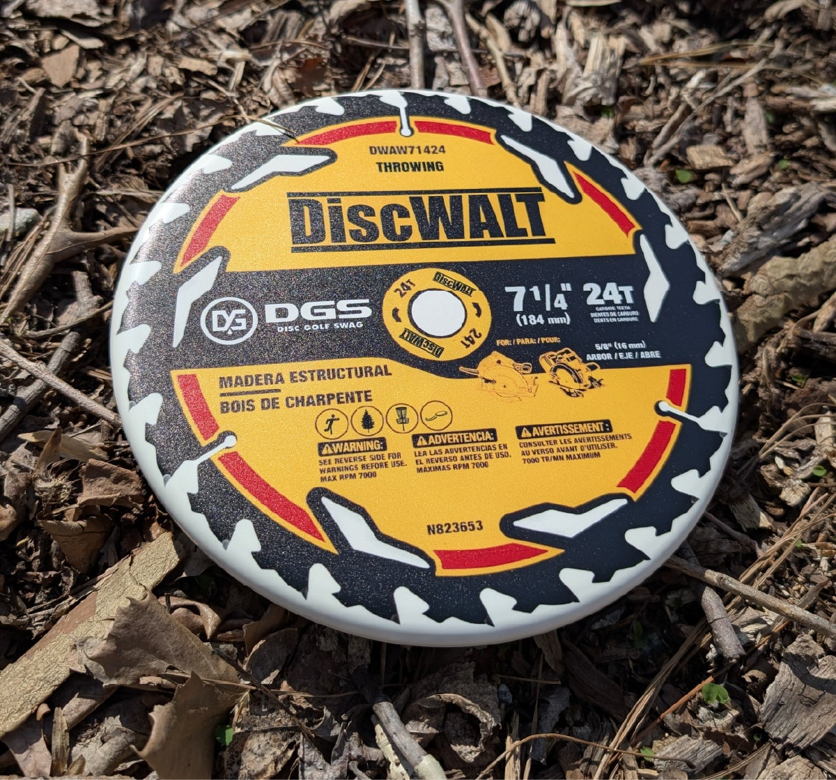 DiscWalt Saw Disc outdoors