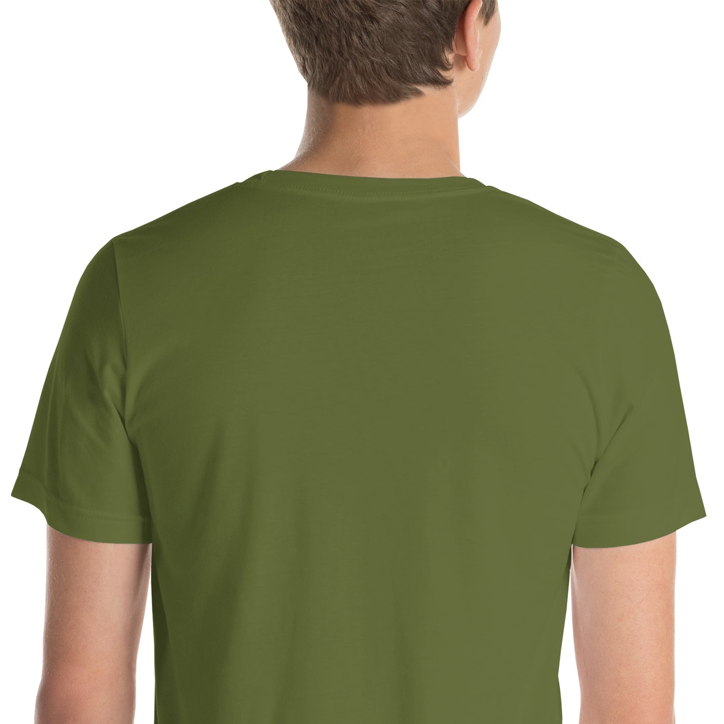 Disc Golf is for Everyone Groovy t-shirt - olive