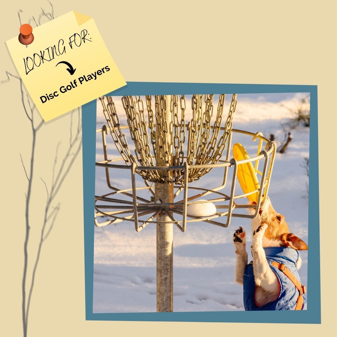 How Can I Find a Disc Golf Crew in My Area? | Upper Park Disc Golf