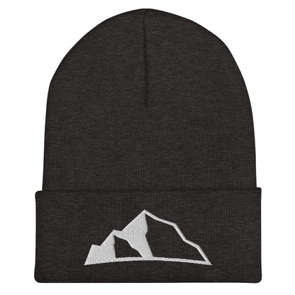 Upper Park Disc Golf®️ Cuffed Beanie grey