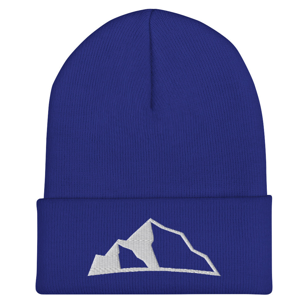 Upper Park Disc Golf®️ Cuffed Beanie royal