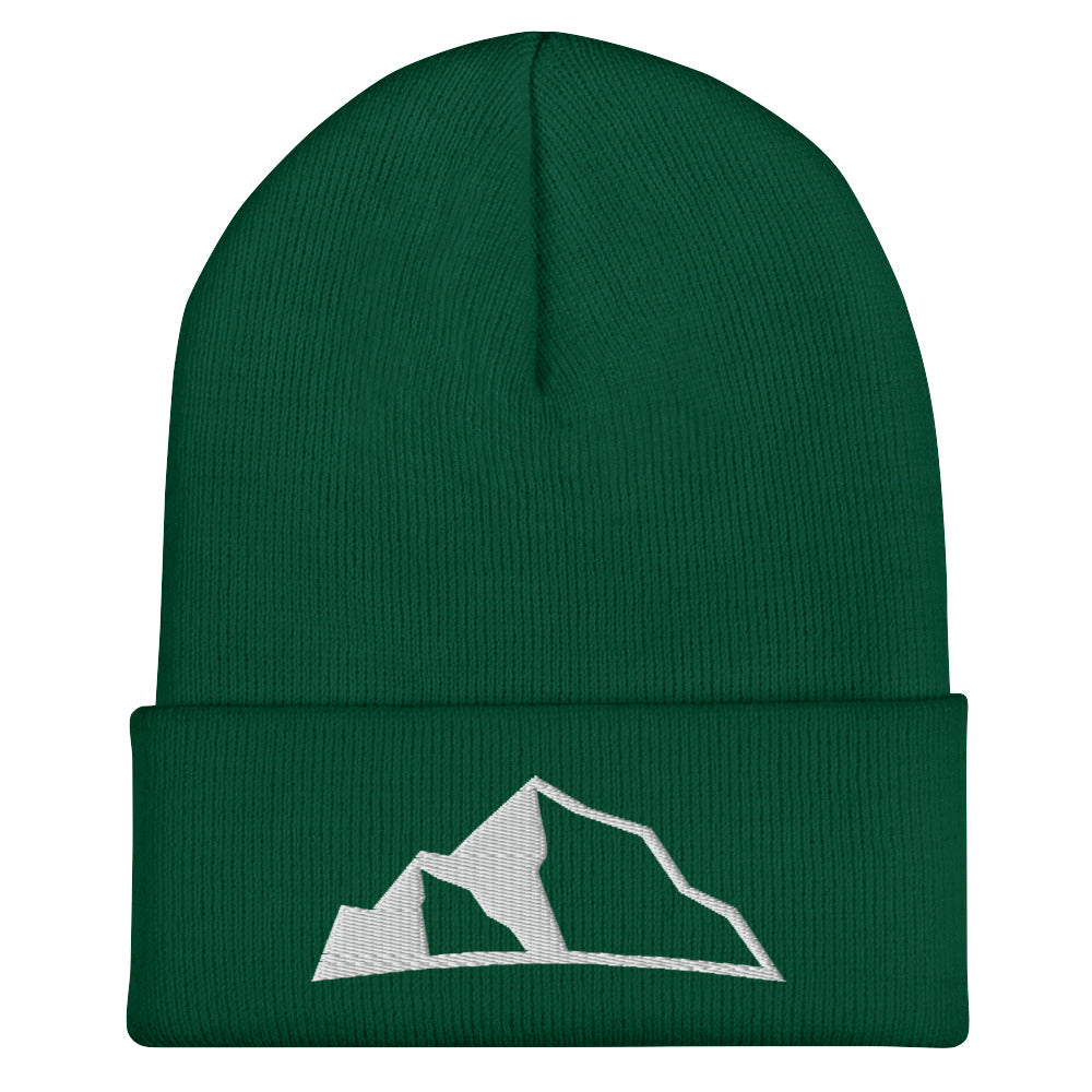 Upper Park Disc Golf®️ Cuffed Beanie spruce